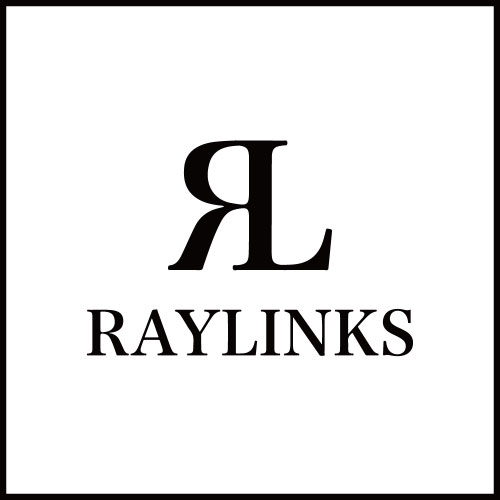 株式会社RAYLINKS　名刺
